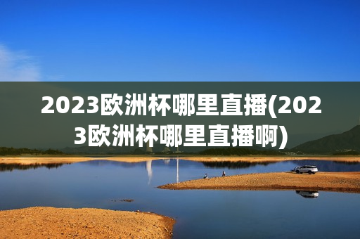 2023欧洲杯哪里直播(2023欧洲杯哪里直播啊)