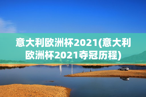 意大利欧洲杯2021(意大利欧洲杯2021夺冠历程)